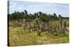 Tiya, an archaeological site of carved stelae, Ethiopia-Keren Su-Stretched Canvas