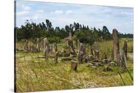 Tiya, an archaeological site of carved stelae, Ethiopia-Keren Su-Stretched Canvas