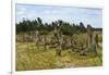 Tiya, an archaeological site of carved stelae, Ethiopia-Keren Su-Framed Photographic Print