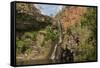 Tjaynera Falls and Waterhole on Sandy Creek, Litchfield National Park, Northern Territory-Tony Waltham-Framed Stretched Canvas