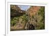 Tjaynera Falls and Waterhole on Sandy Creek, Litchfield National Park, Northern Territory-Tony Waltham-Framed Photographic Print