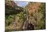 Tjaynera Falls and Waterhole on Sandy Creek, Litchfield National Park, Northern Territory-Tony Waltham-Mounted Photographic Print