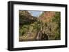 Tjaynera Falls and Waterhole on Sandy Creek, Litchfield National Park, Northern Territory-Tony Waltham-Framed Photographic Print