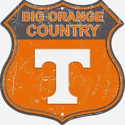 University Of Tennessee Posters Prints Paintings Wall Art For Sale Allposters Com