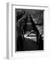 To Be Different-Fulvio Pellegrini-Framed Photographic Print