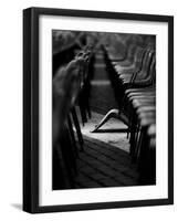 To Be Different-Fulvio Pellegrini-Framed Photographic Print