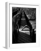 To Be Different-Fulvio Pellegrini-Framed Photographic Print