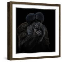 To Be or Not to Be - Chiropotes Chiropotes-Mathilde Guillemot-Framed Giclee Print