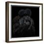 To Be or Not to Be - Chiropotes Chiropotes-Mathilde Guillemot-Framed Giclee Print