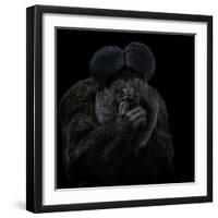 To Be or Not to Be - Chiropotes Chiropotes-Mathilde Guillemot-Framed Giclee Print