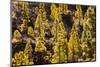 To Canaries Jaws in the Teide National Parks, Pinus Canariensis, Tenerife, Spain-Reinhard Dirscherl-Mounted Photographic Print