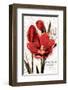 to Come into Full Bloom II-Joadoor-Framed Art Print