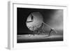 To Fight with Oneself-Victoria Ivanova-Framed Photographic Print