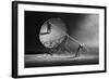 To Fight with Oneself-Victoria Ivanova-Framed Photographic Print