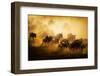 To Migrate-Mohammed Alnaser-Framed Photographic Print