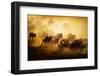 To Migrate-Mohammed Alnaser-Framed Photographic Print