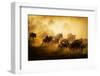 To Migrate-Mohammed Alnaser-Framed Photographic Print