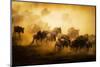 To Migrate-Mohammed Alnaser-Mounted Photographic Print