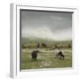 To Pastures New-null-Framed Giclee Print