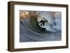 To play with the nature-Claudio Moretti-Framed Photographic Print