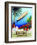 To Rio De Janeiro', Poster Advertising the Hamburg Southern Line, 1929-null-Framed Giclee Print