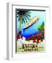 To Rio De Janeiro', Poster Advertising the Hamburg Southern Line, 1929-null-Framed Giclee Print