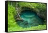 To Sua Ocean Trench in Upolu, Samoa, South Pacific, Pacific-Michael Runkel-Framed Stretched Canvas