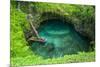 To Sua Ocean Trench in Upolu, Samoa, South Pacific, Pacific-Michael Runkel-Mounted Photographic Print