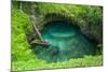 To Sua Ocean Trench in Upolu, Samoa, South Pacific, Pacific-Michael Runkel-Mounted Photographic Print