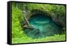 To Sua Ocean Trench in Upolu, Samoa, South Pacific, Pacific-Michael Runkel-Framed Stretched Canvas