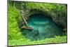 To Sua Ocean Trench in Upolu, Samoa, South Pacific, Pacific-Michael Runkel-Mounted Photographic Print