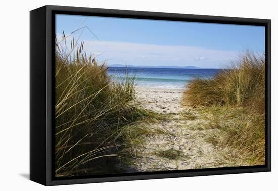 To The Beach-Incredi-Framed Stretched Canvas