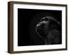 To the Future-Stephen Arens-Framed Photographic Print