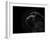 To the Future-Stephen Arens-Framed Photographic Print