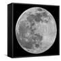 To The Moon-Marcus Prime-Framed Stretched Canvas