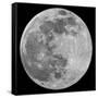 To The Moon-Marcus Prime-Framed Stretched Canvas