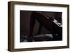 To The Music-Sebastian Black-Framed Photo