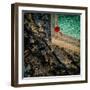 to the other side-null-Framed Photographic Print