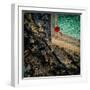 to the other side-null-Framed Photographic Print