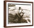 Brown Frame