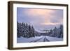 To the Wonderland-Mei Xu-Framed Photographic Print