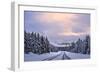 To the Wonderland-Mei Xu-Framed Photographic Print