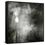 To Walk at Night-Ursula Abresch-Framed Stretched Canvas