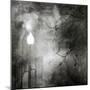 To Walk at Night-Ursula Abresch-Mounted Photographic Print