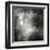 To Walk at Night-Ursula Abresch-Framed Premium Photographic Print