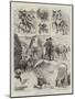 To Ximena on a Donkey-Godefroy Durand-Mounted Giclee Print