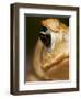 Toad in Costa Rica-Paul Souders-Framed Premium Photographic Print