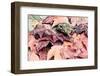 Toad in the Fall Leaves - Retro, Faded-SHS Photography-Framed Photographic Print