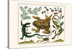 Toad, Lizard, Serpentes, Leopard Frog, Capers-Albertus Seba-Stretched Canvas