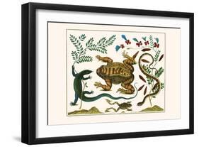 Toad, Lizard, Serpentes, Leopard Frog, Capers-Albertus Seba-Framed Art Print